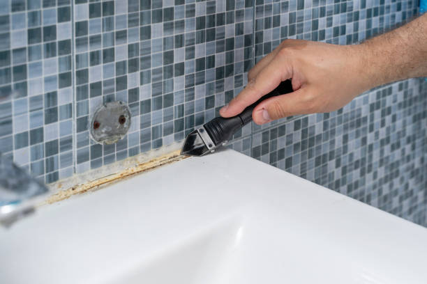 Best Fast Mold Removal  in Pleasant View, UT